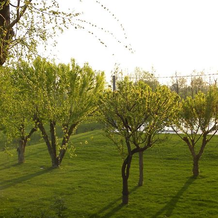 Agriturismo Feliciana Pozzolengo Kültér fotó