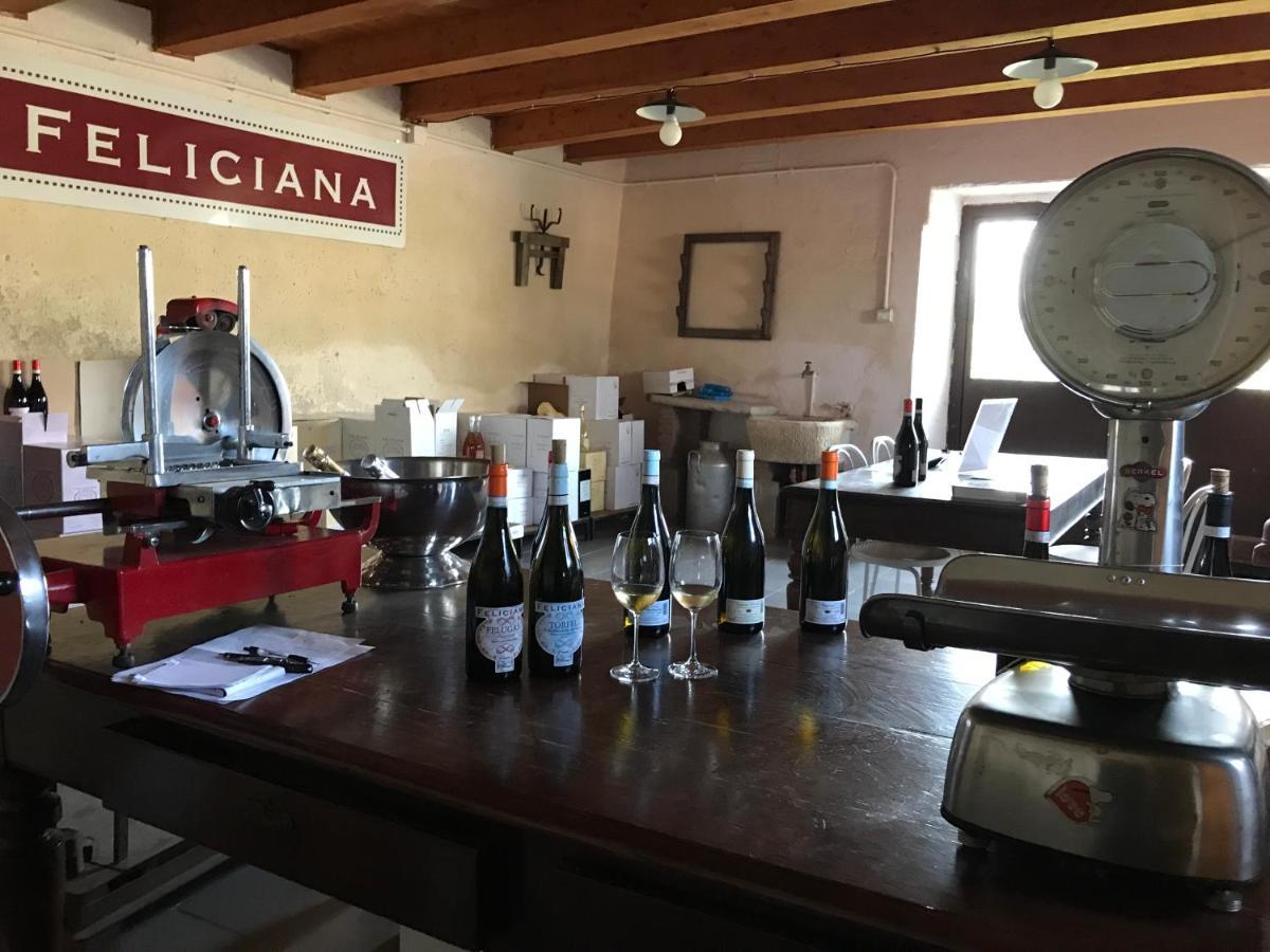 Agriturismo Feliciana Pozzolengo Kültér fotó