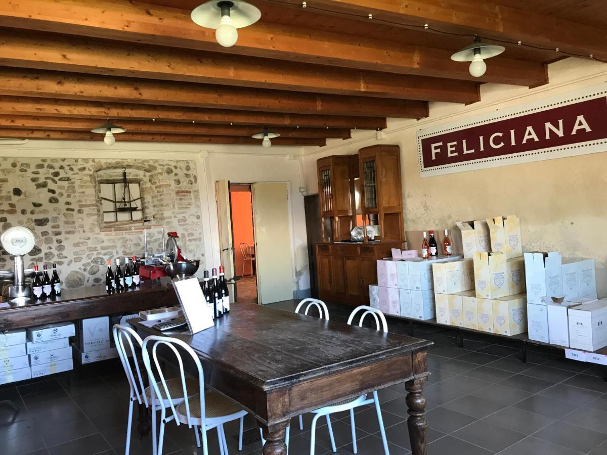 Agriturismo Feliciana Pozzolengo Kültér fotó