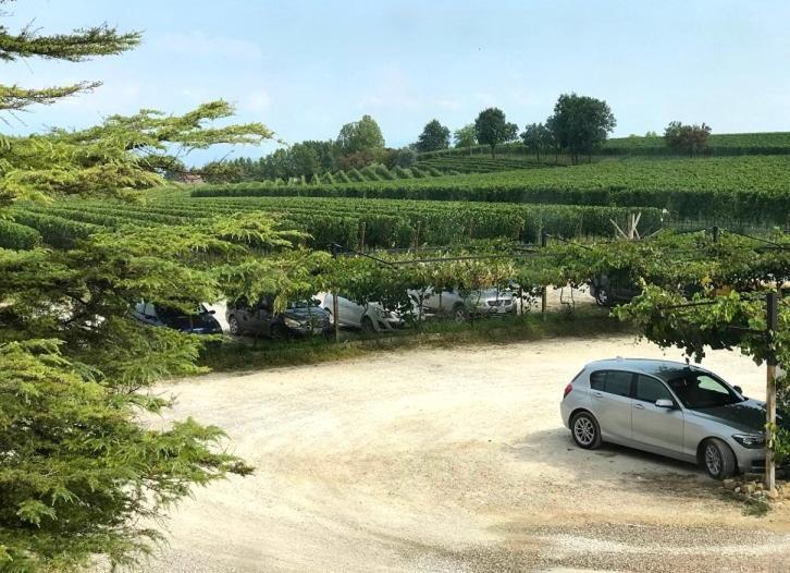 Agriturismo Feliciana Pozzolengo Kültér fotó