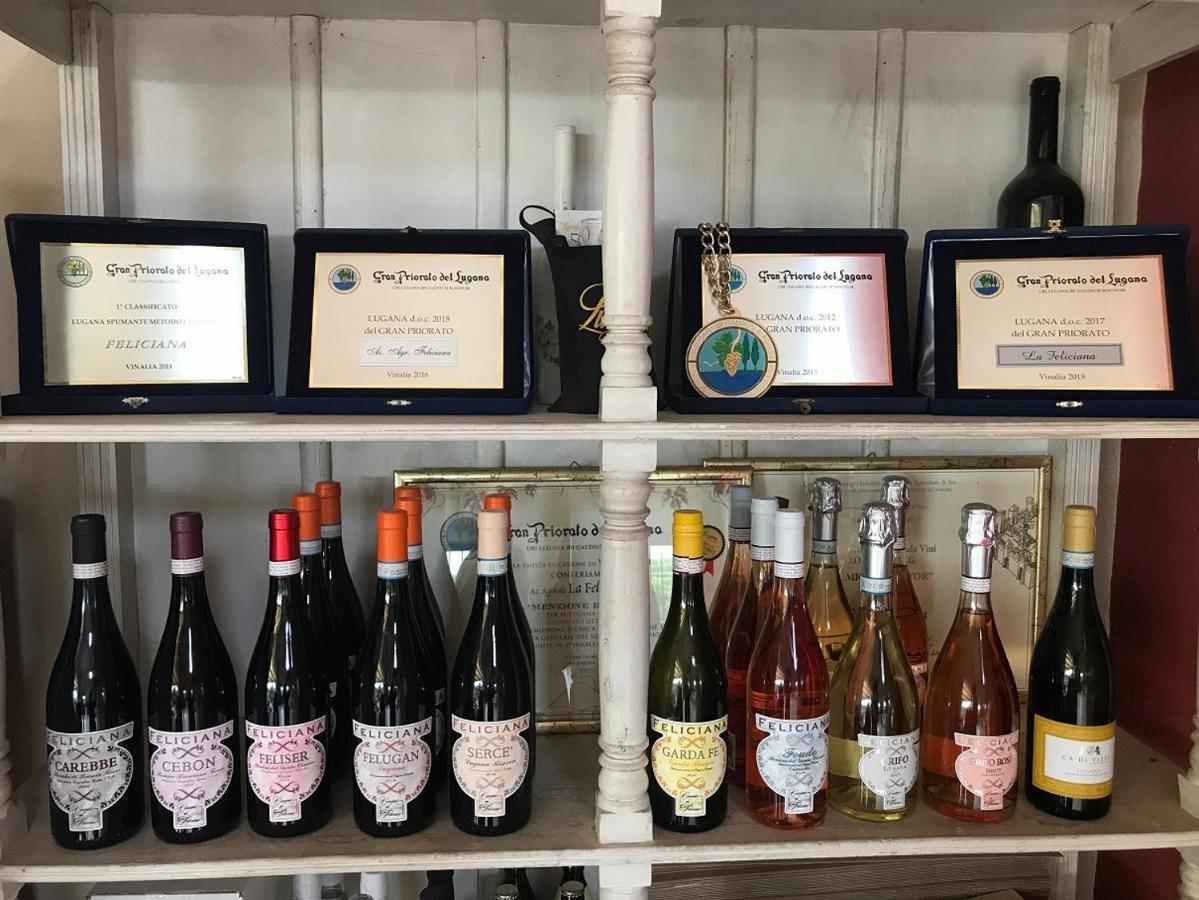 Agriturismo Feliciana Pozzolengo Kültér fotó