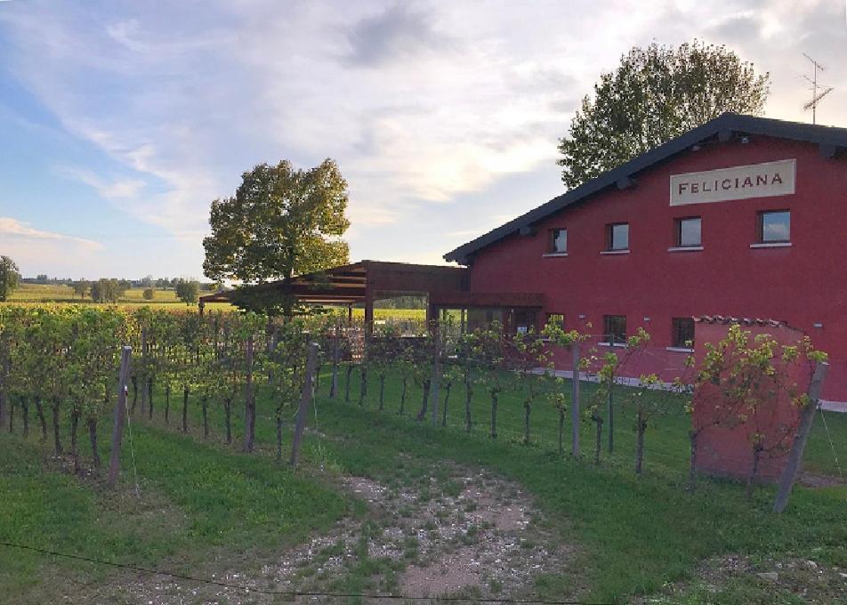 Agriturismo Feliciana Pozzolengo Kültér fotó