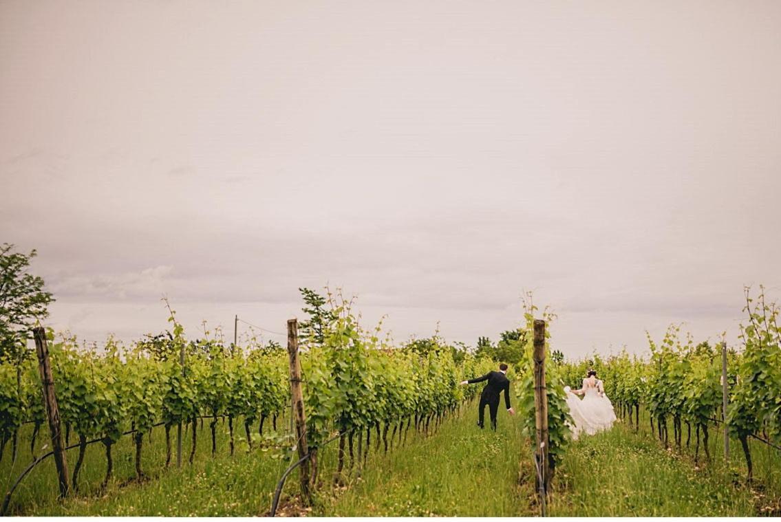 Agriturismo Feliciana Pozzolengo Kültér fotó