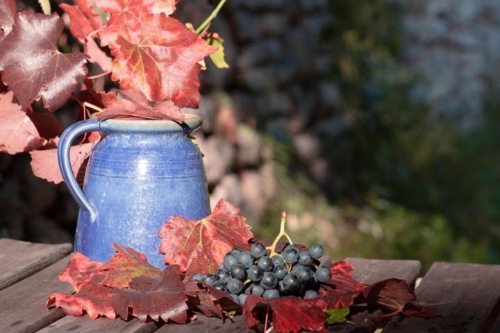 Agriturismo Feliciana Pozzolengo Kültér fotó