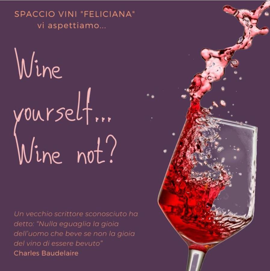 Agriturismo Feliciana Pozzolengo Kültér fotó