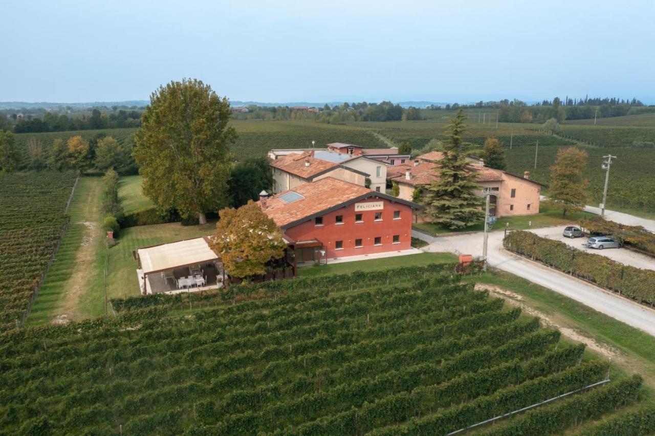 Agriturismo Feliciana Pozzolengo Kültér fotó