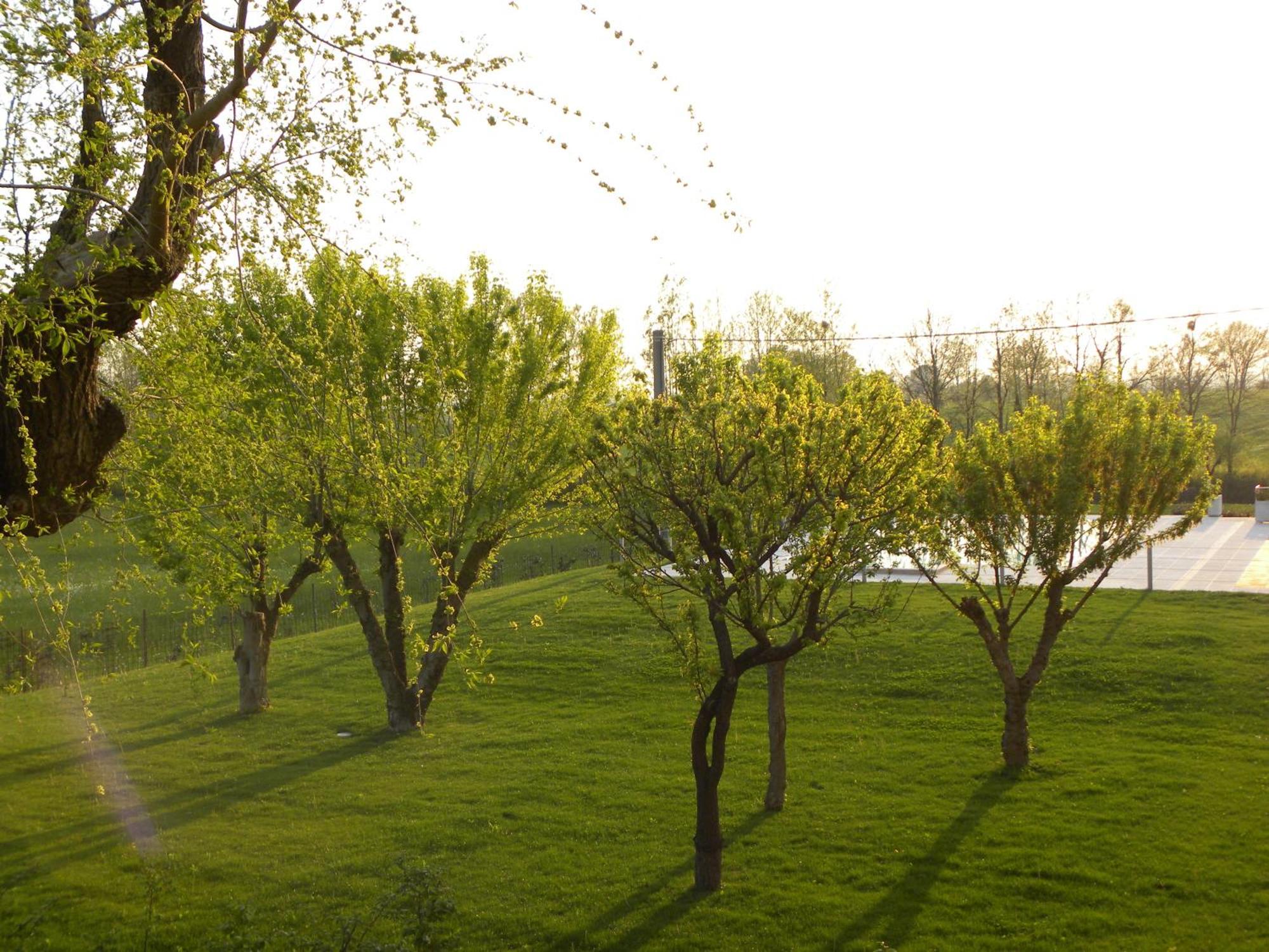 Agriturismo Feliciana Pozzolengo Kültér fotó